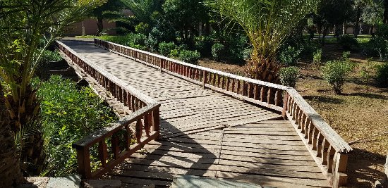 Jardin de Olhao