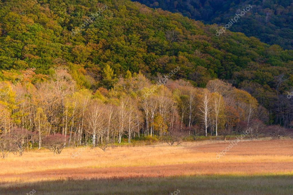 Odashirogahara Field
