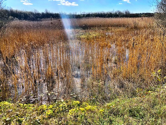 Parc Slip Nature Reserve