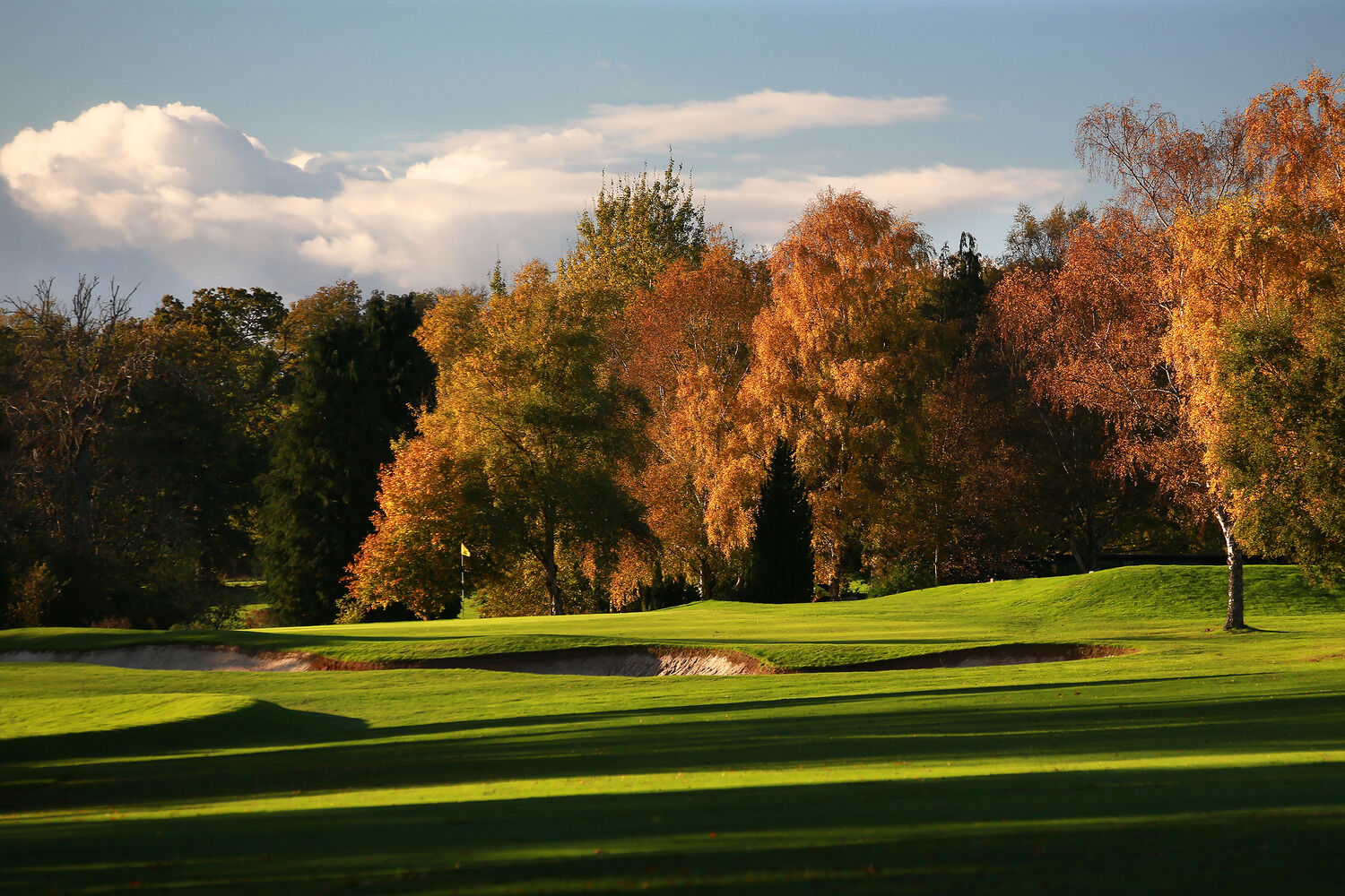 West Sussex Golf Club