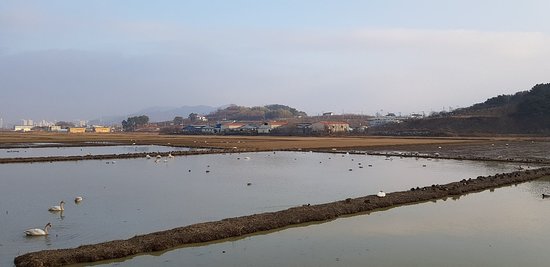 Junam Reservoir