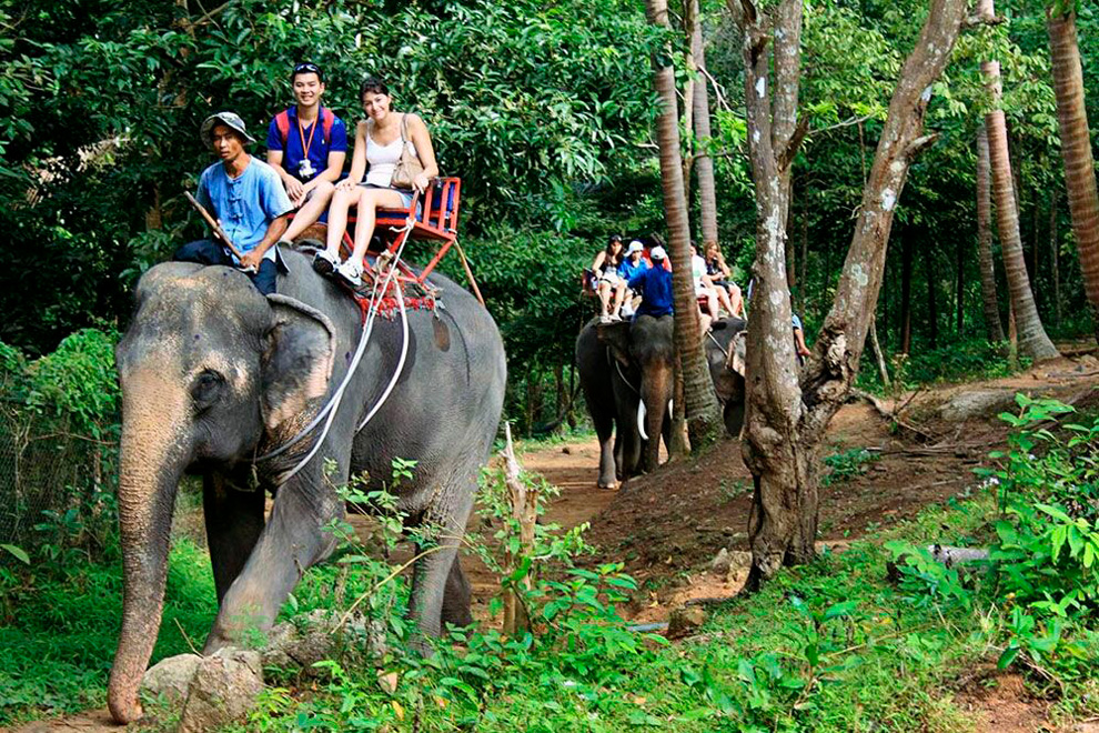 Island Safari Tours