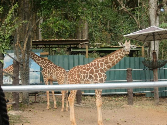 Emperor Valley Zoo