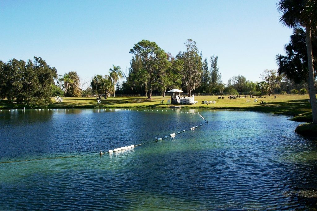 Warm Mineral Springs