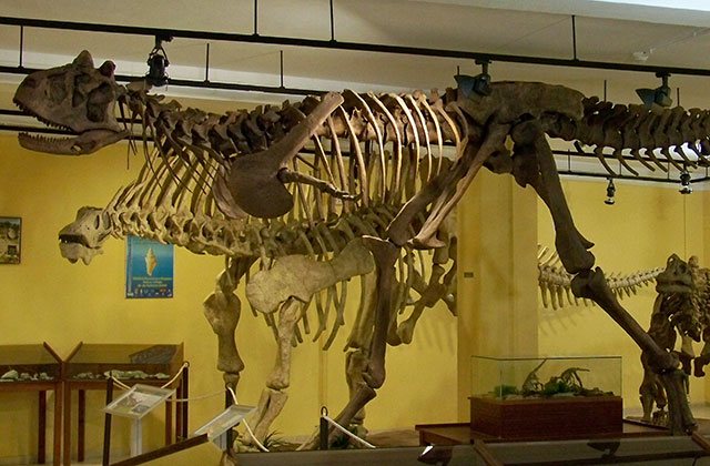 Museo paleontologico de la laguna