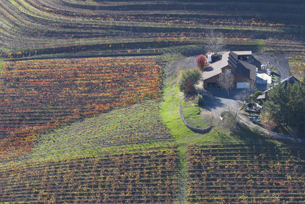 Pendleton Estate Vineyards and Winery