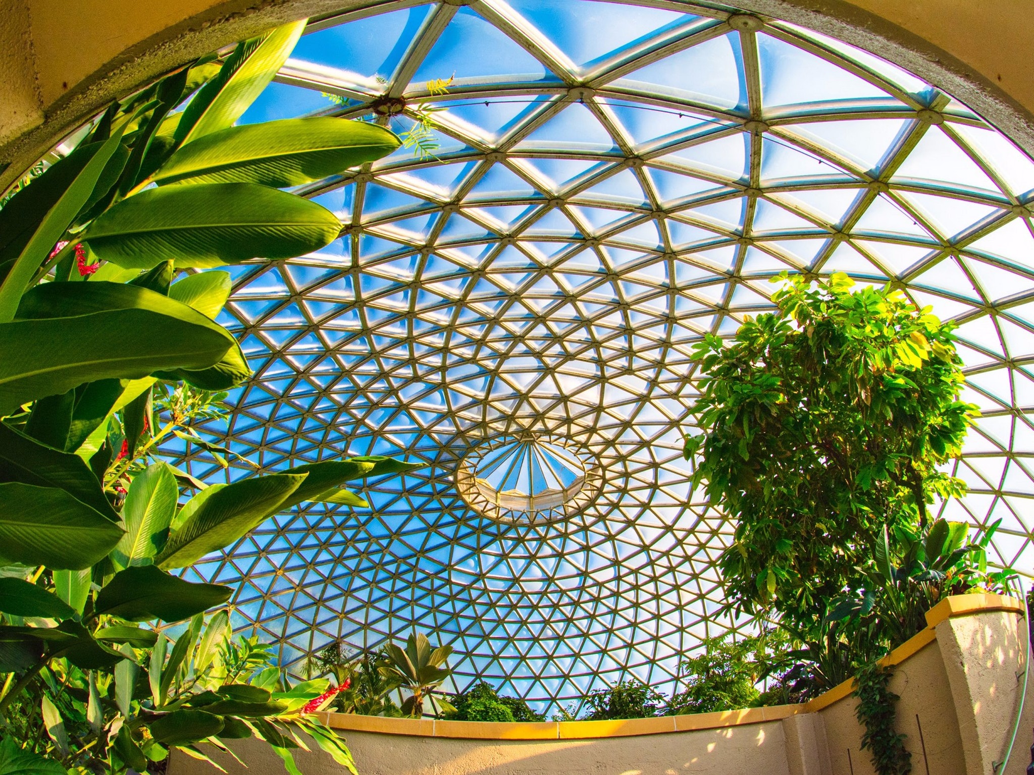 Brisbane Botanic Gardens Mt. Coot-tha