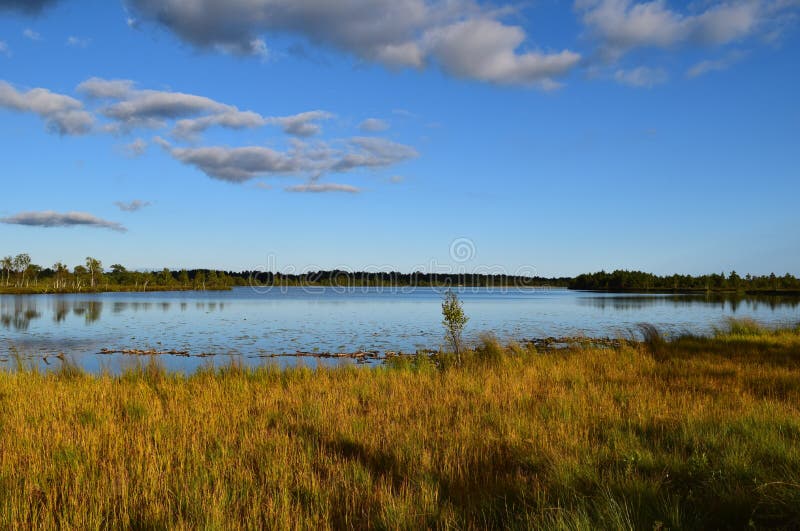 Koigi Bog Trail