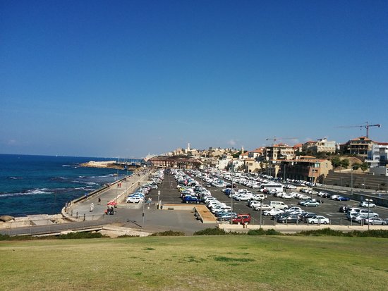 Jaffa Slope Park