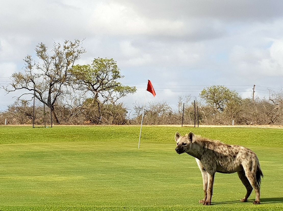 Skukuza Golf Course