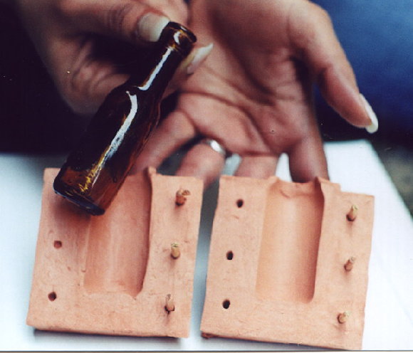 Mold Market