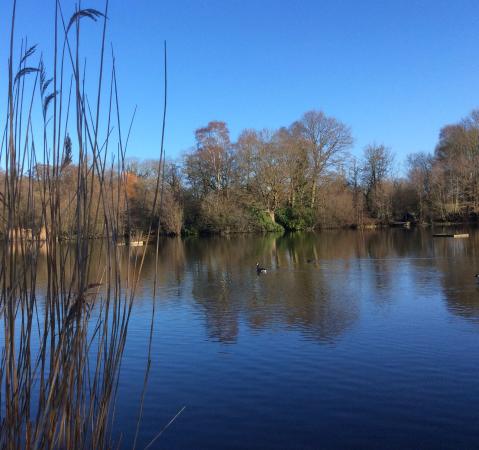 Acton Park