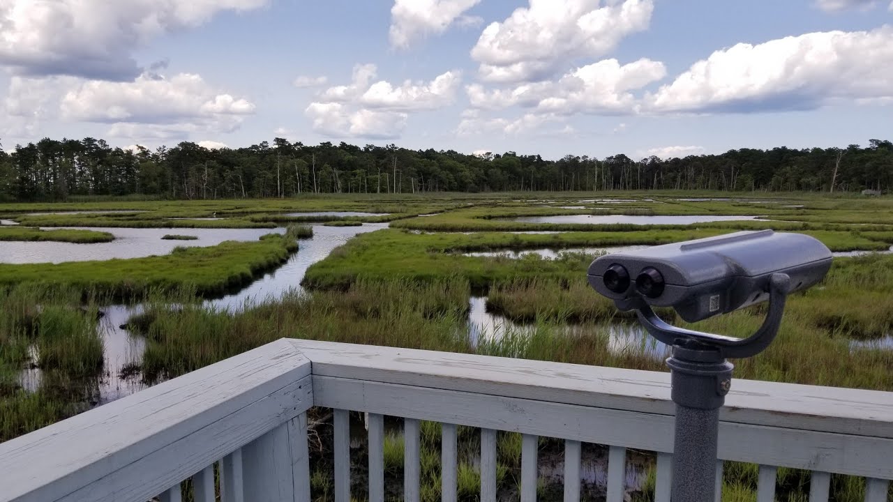 Cattus Island County Park