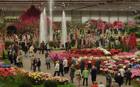 Gentse Floralien