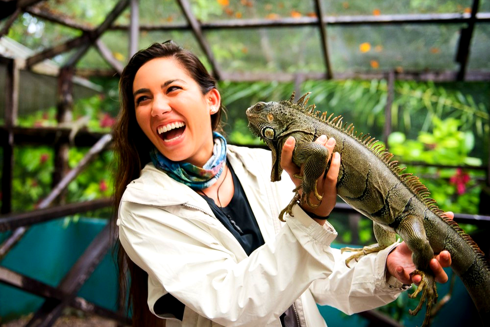 Green Iguana Conservation Project
