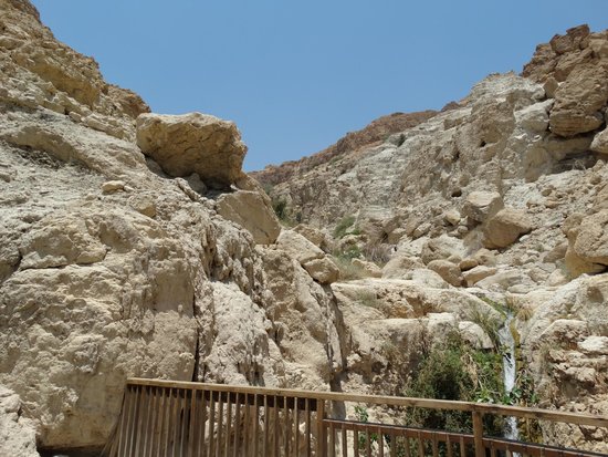Ein Gedi Eco Center
