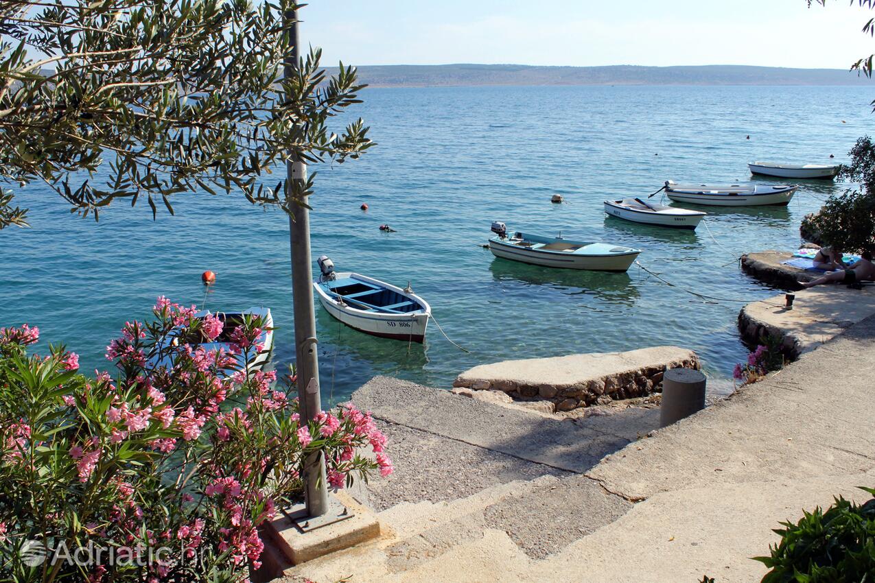 Fenix Beach & Summer Bar