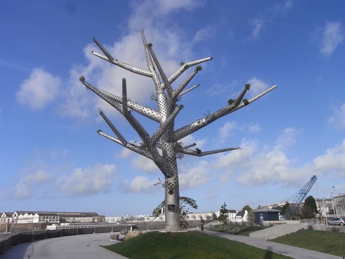 L'Arbre Empathique