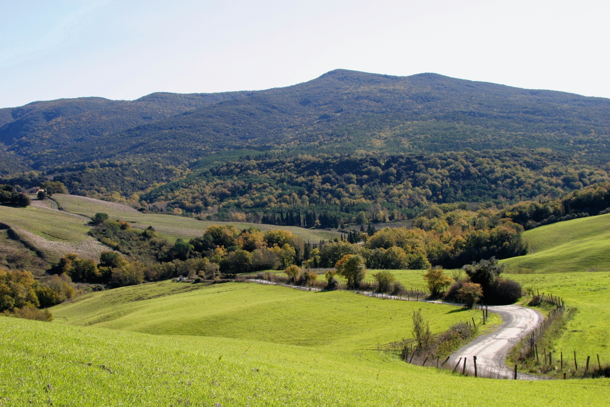 Riserva naturale Les Grangettes