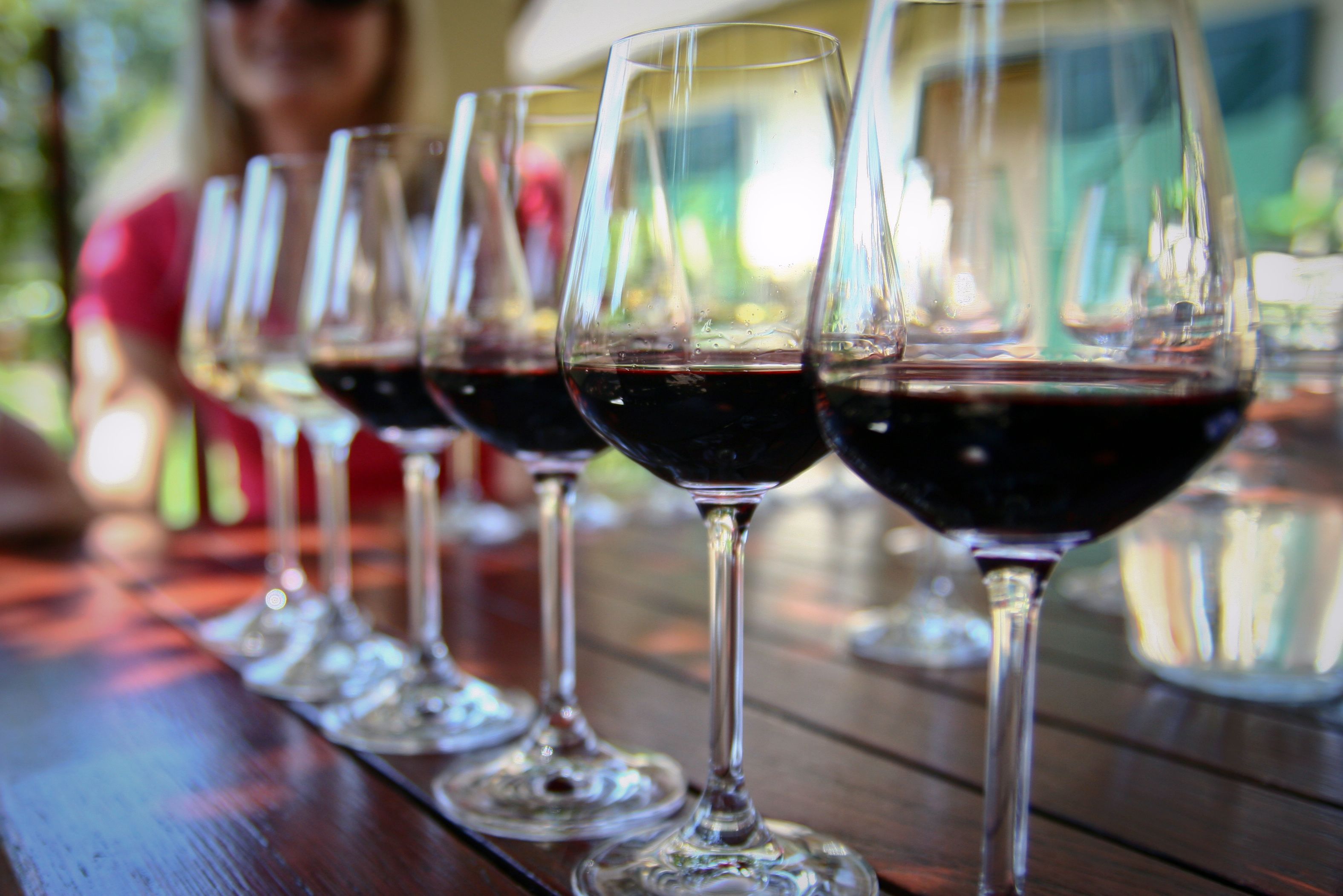 Stehleon Tasting