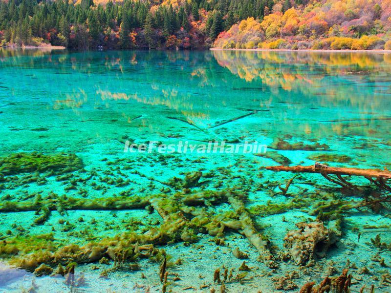 Shu Zheng Lake