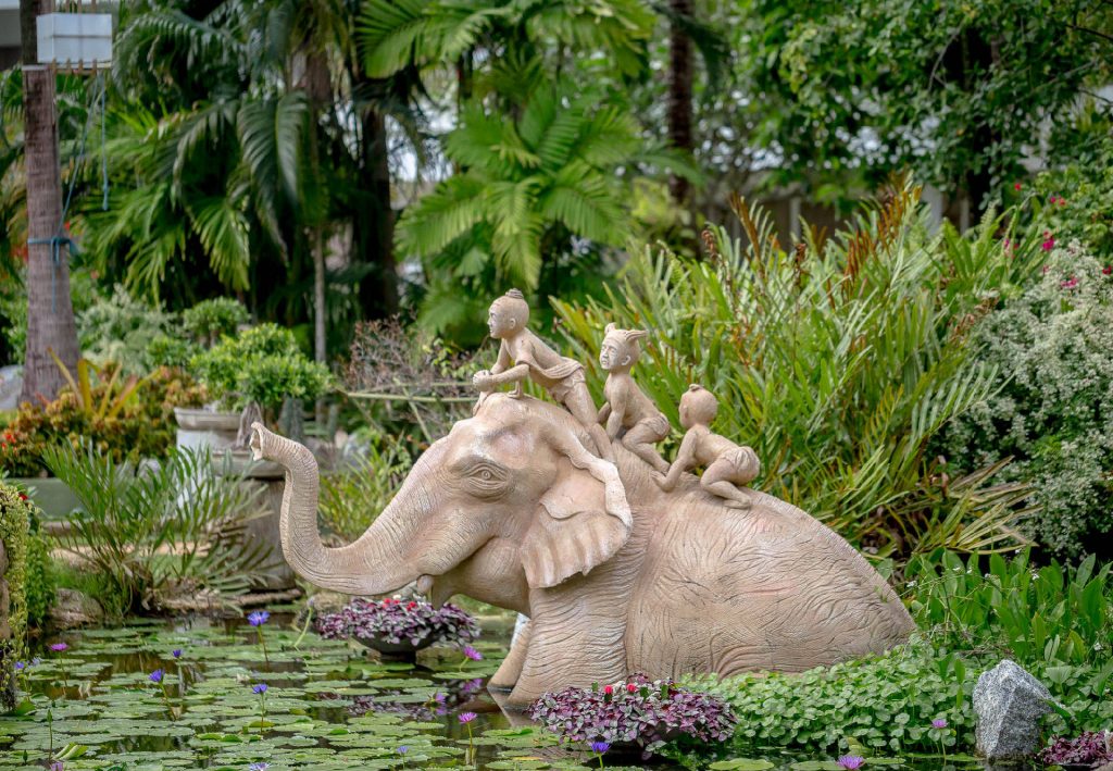 Phuket Botanic Garden