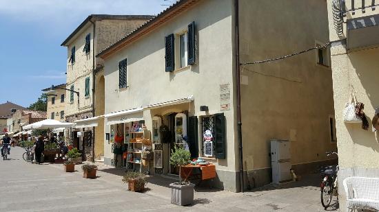Lifestyle Shop - Castiglione della Pescaia