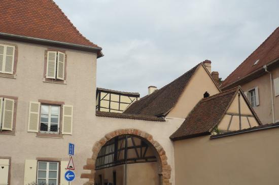 Museum d'Histoire Naturelle Et d'Ethnographie De Colmar