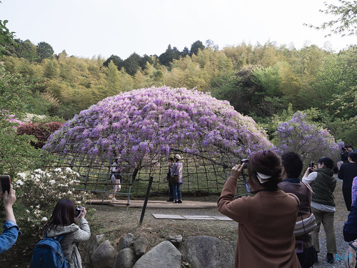 Habu Park