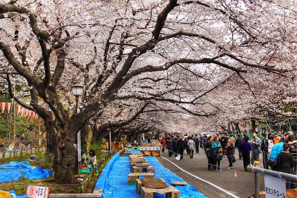 Ichibaike Park