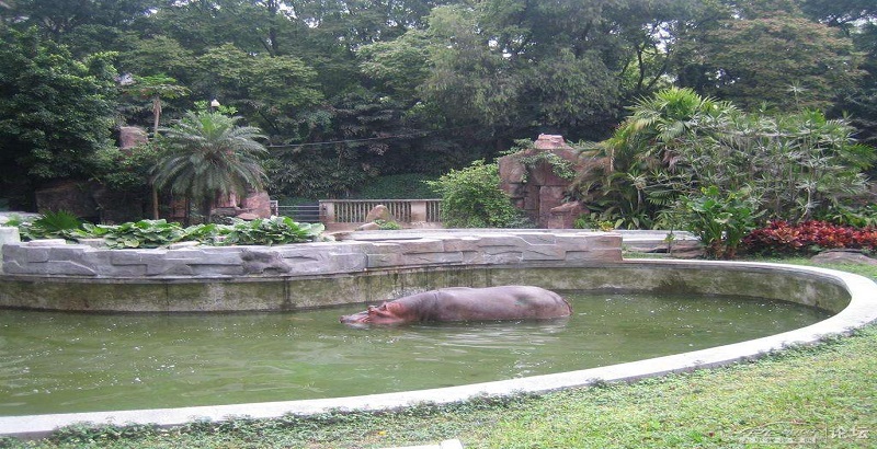 Guangzhou Zoo