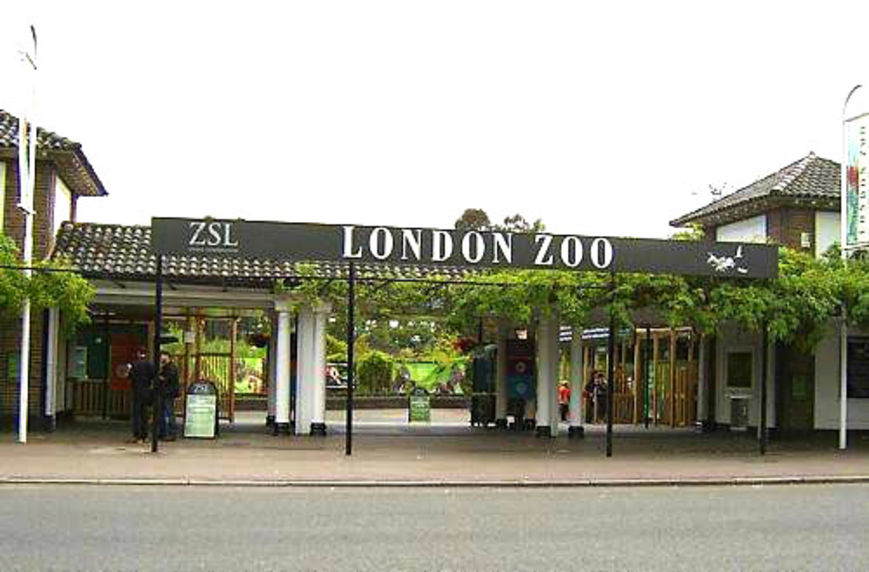 ZSL London Zoo