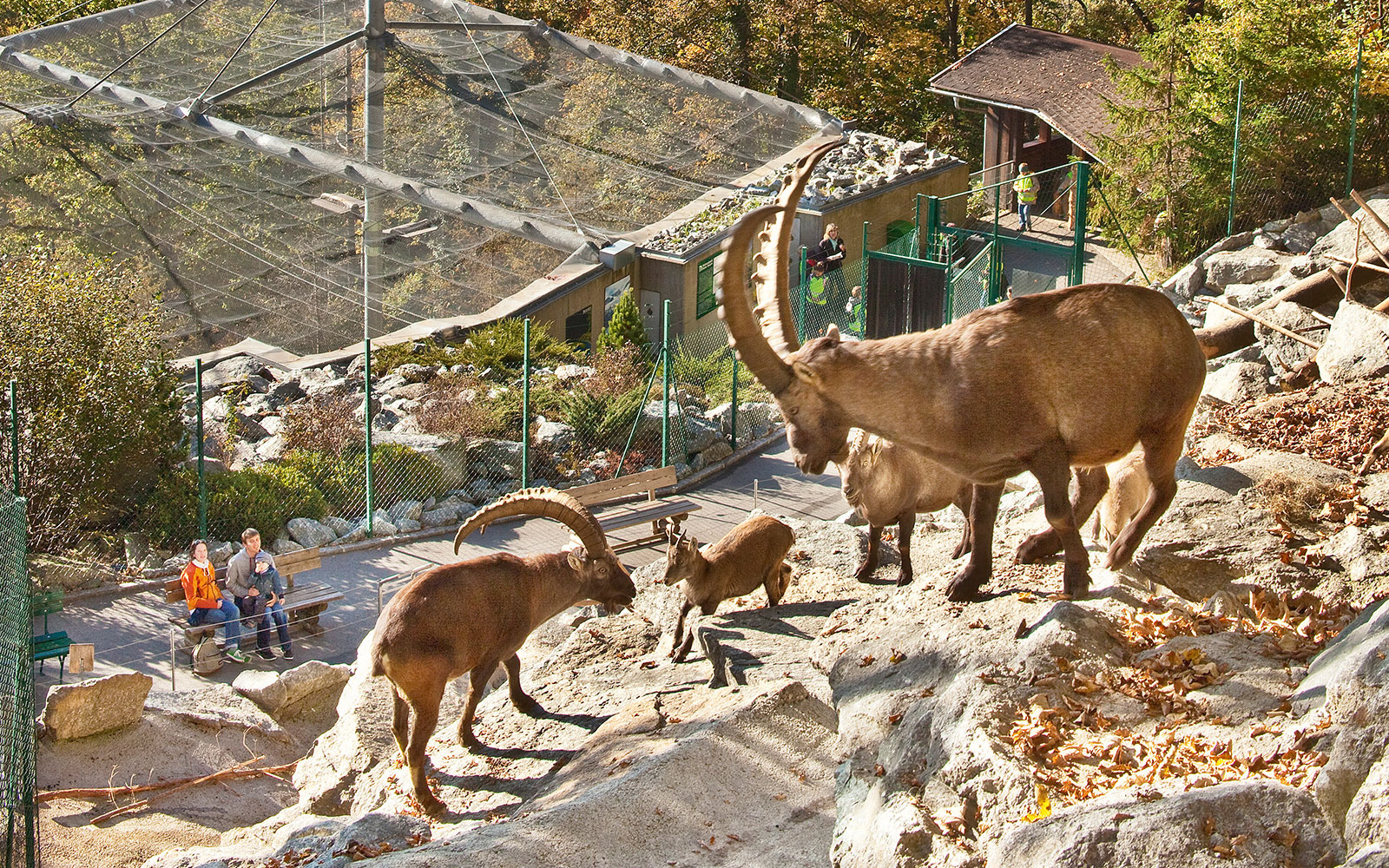 Alpenzoo