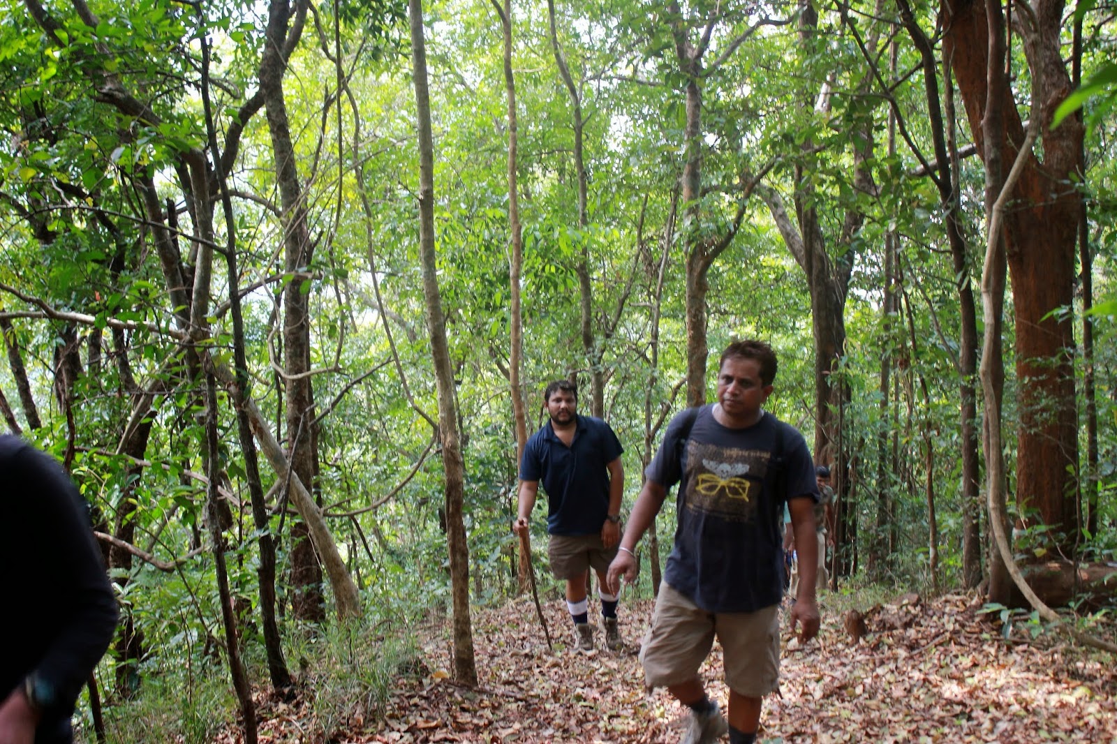 Brahmagiri Wildlife Sanctuary