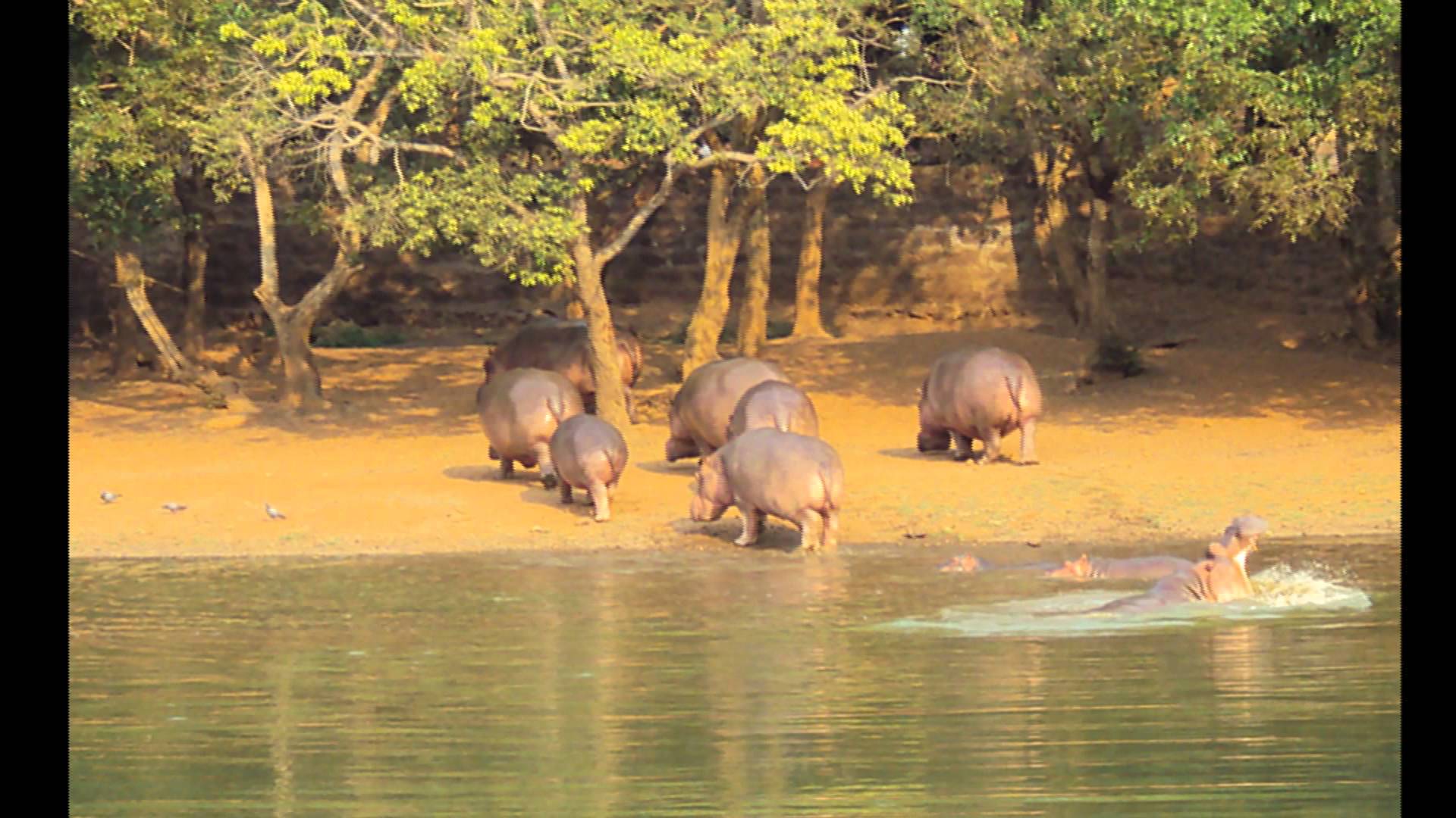 Nandankanan Zoological Park