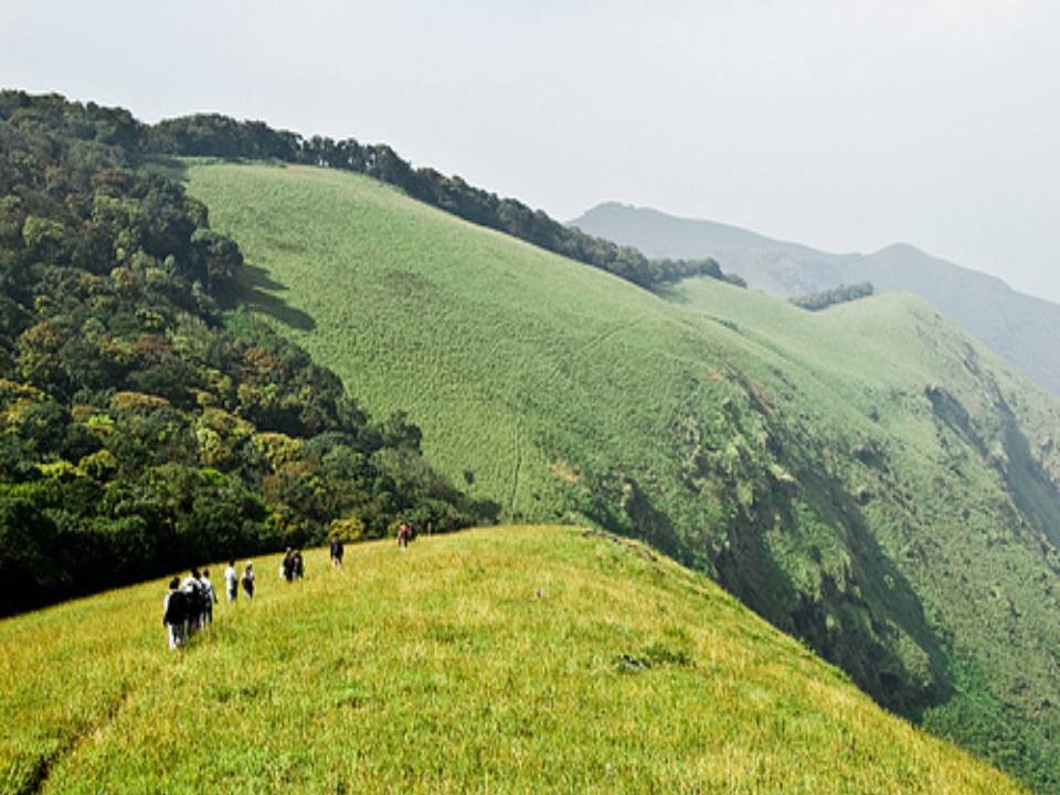 Kudremukh National Park