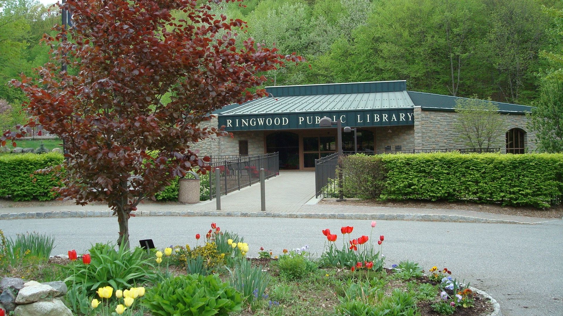 Ringwood Library
