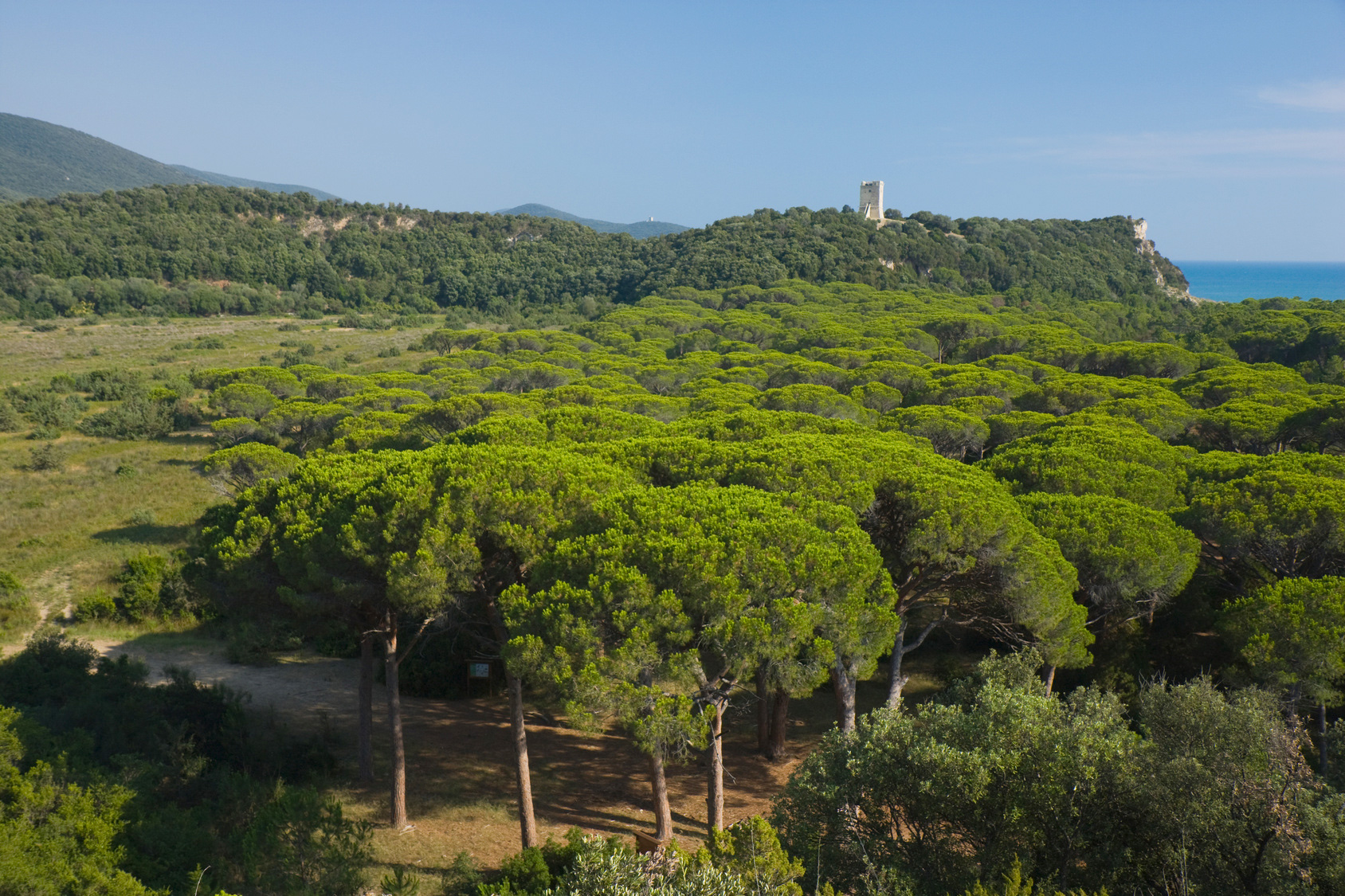 Parco della Mentuccia