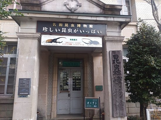 Nawa Insect Museum