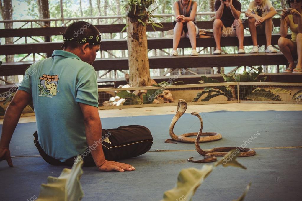 Samui Snake Farm