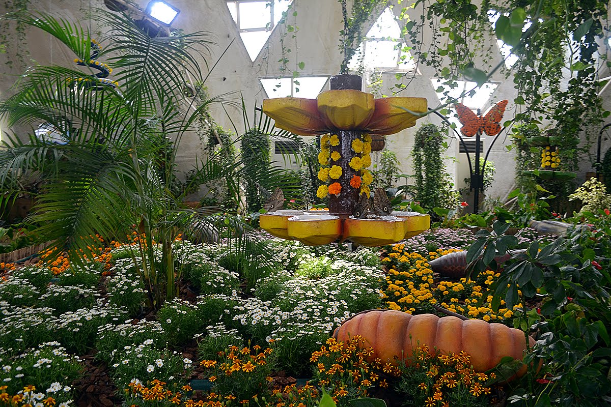 Dubai Butterfly Garden