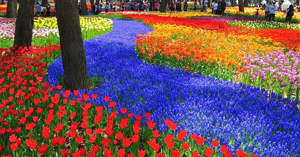 Park of Flowers and Springs - Reina de Flores