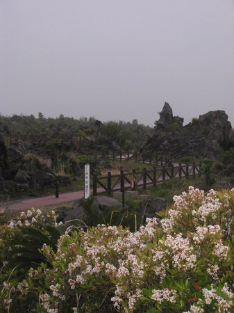 Outdoor Pictures 1