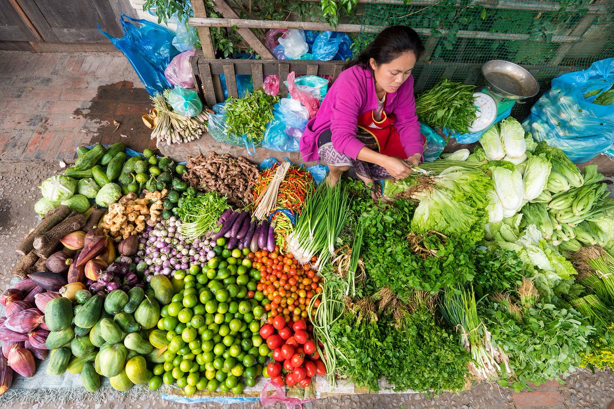 The Morning Market