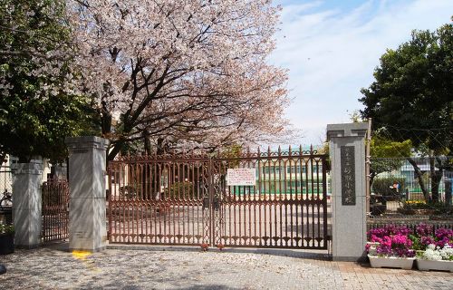 Kumamoto Prefectural Library, Kumamoto Culture and History Museum