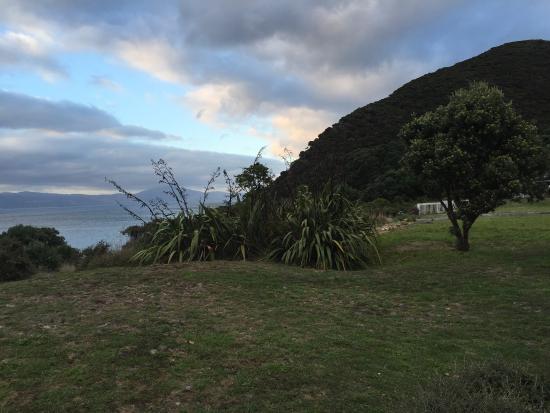 Kapiti Island