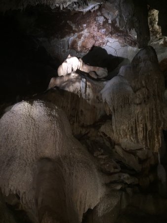 Cutta Cutta Caves Nature Park