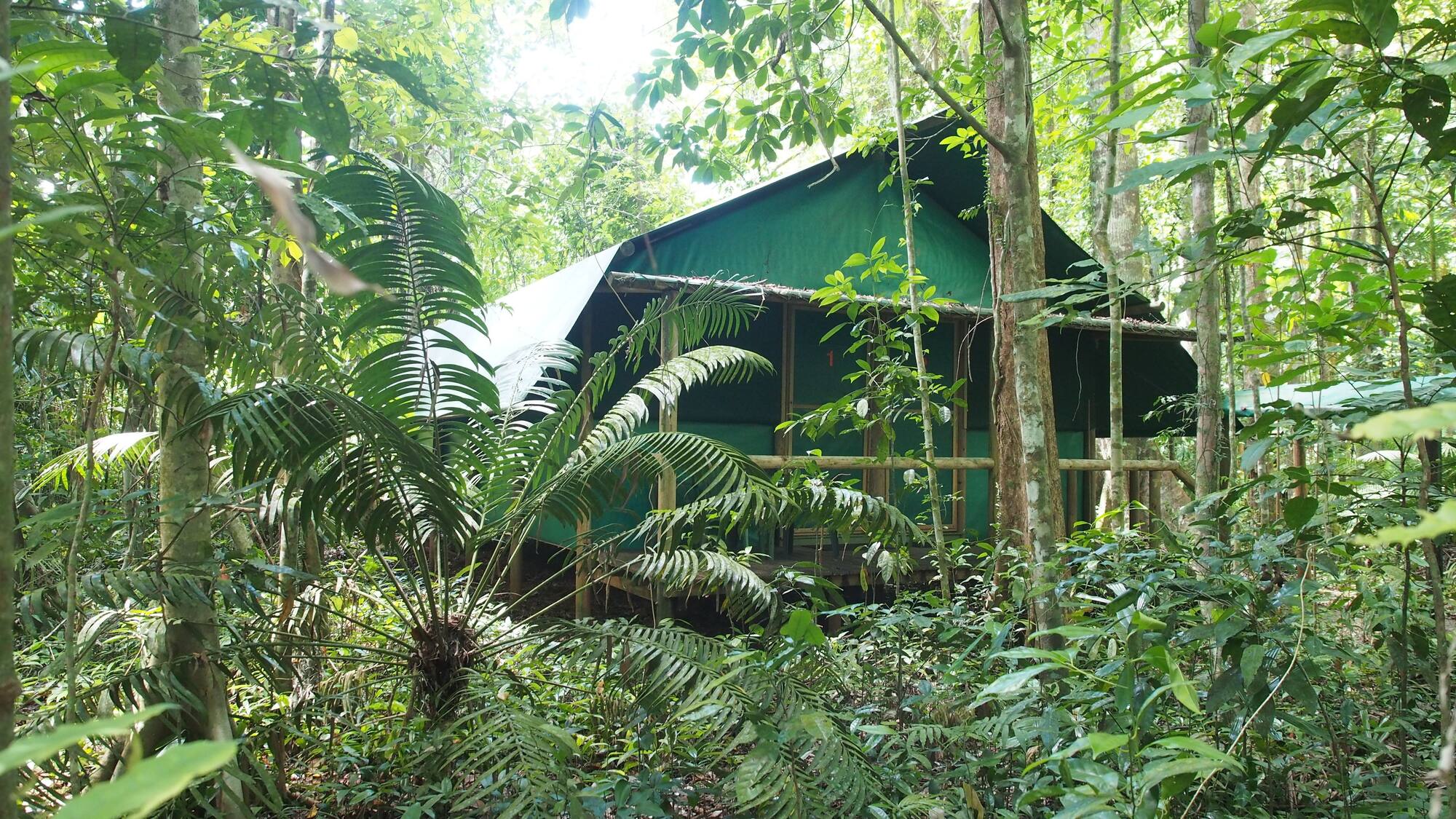 Daintree Discovery Centre