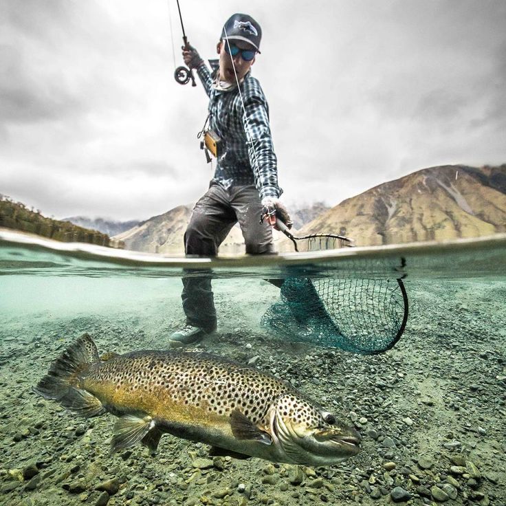 Oguro Rivwe Fishing Spot