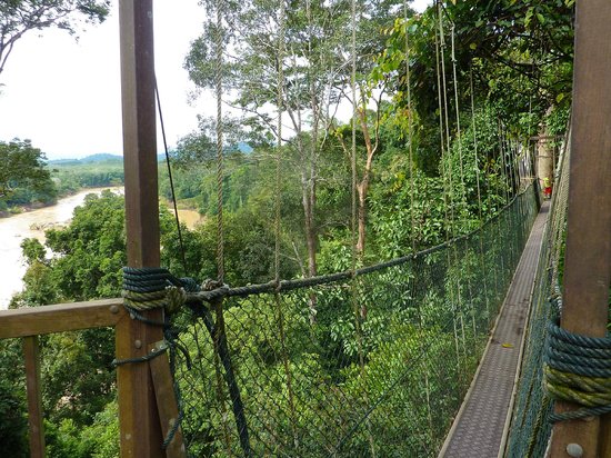 Taman Negara National Park